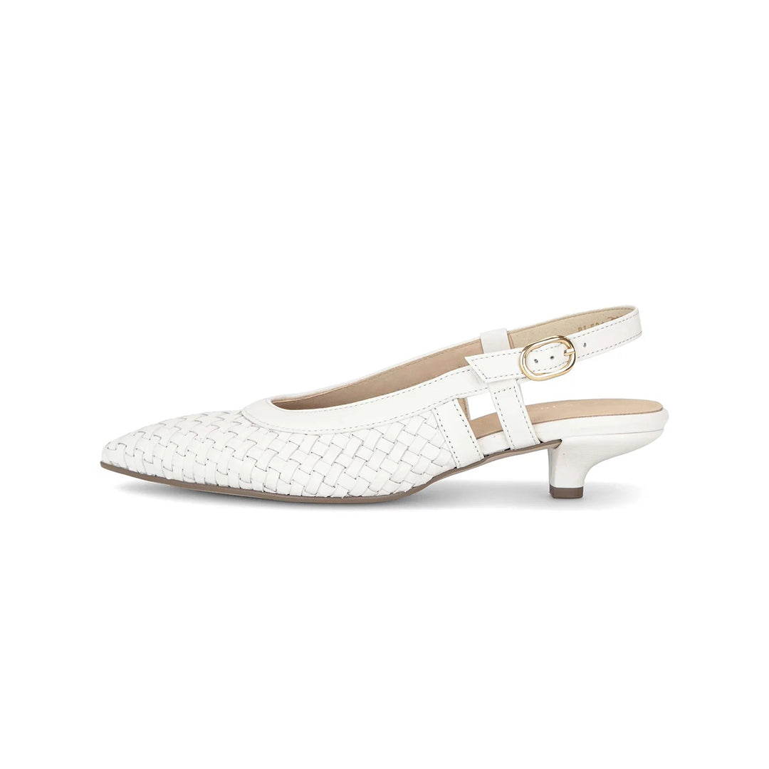 Gabor Women Shoes - 6312