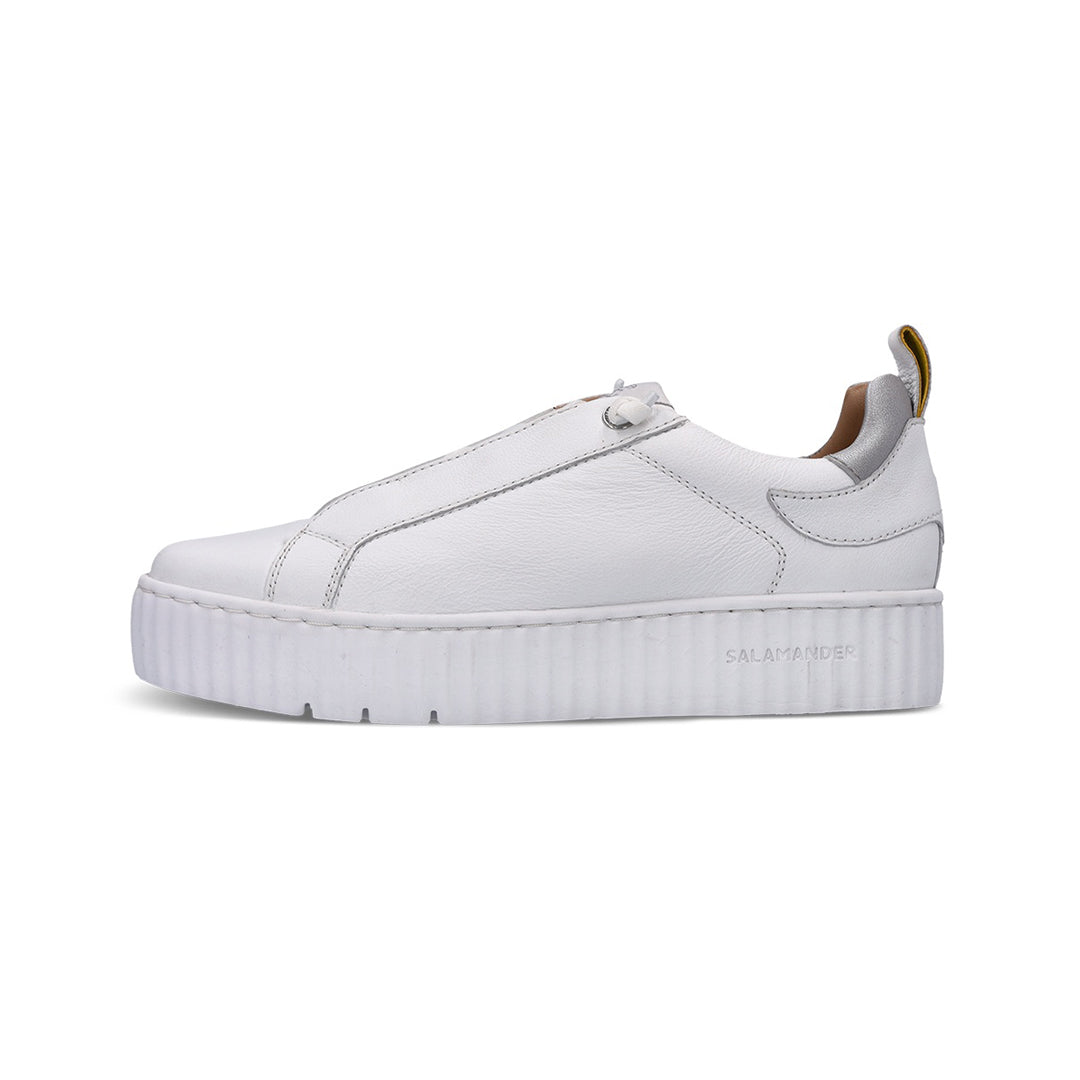 Salamander Women Shoes - 6338