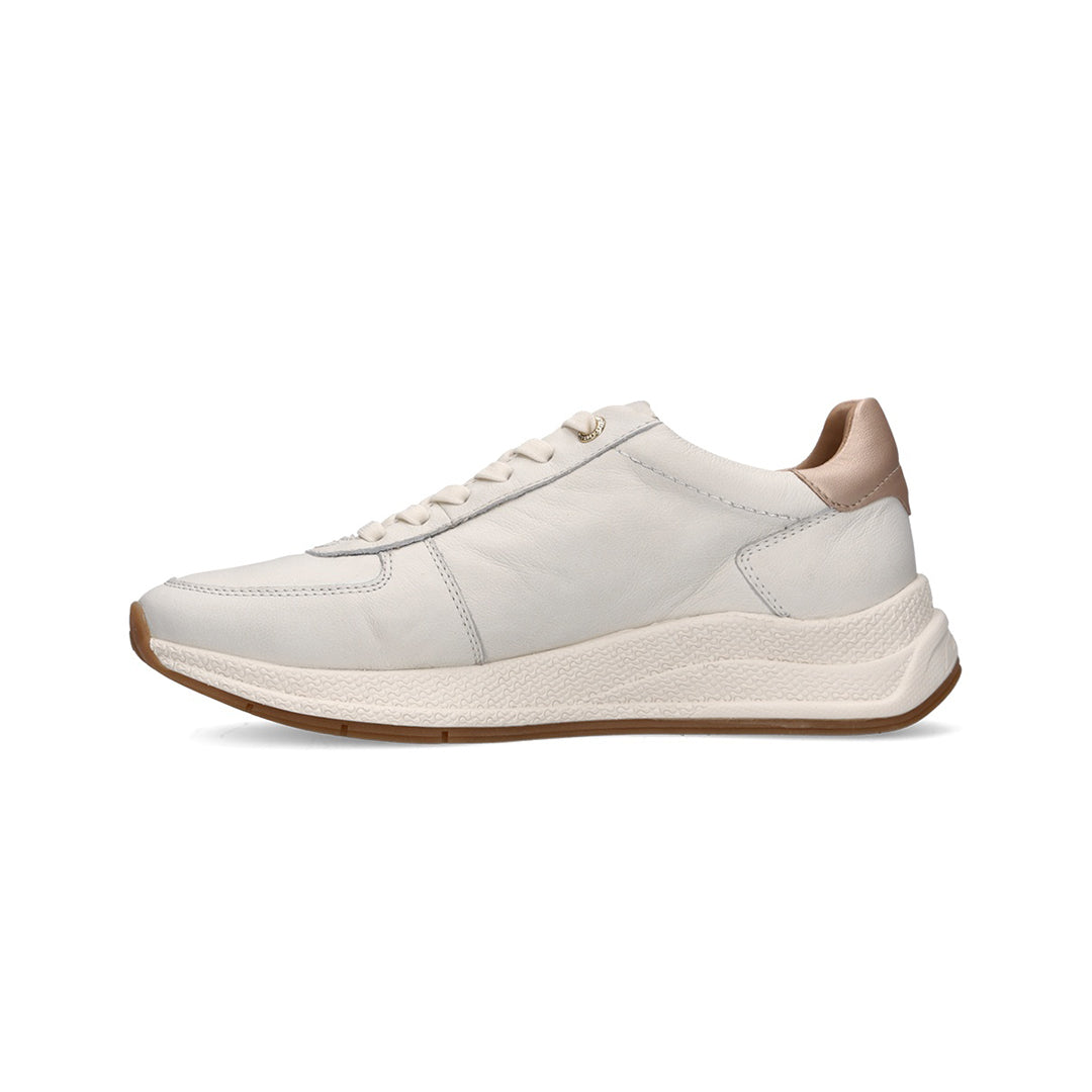 Salamander Women Shoes - 6341