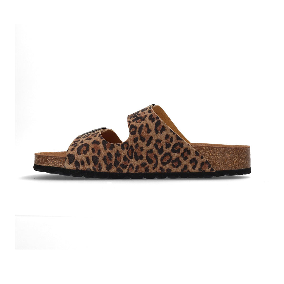 Salamander Women Shoes - 6343