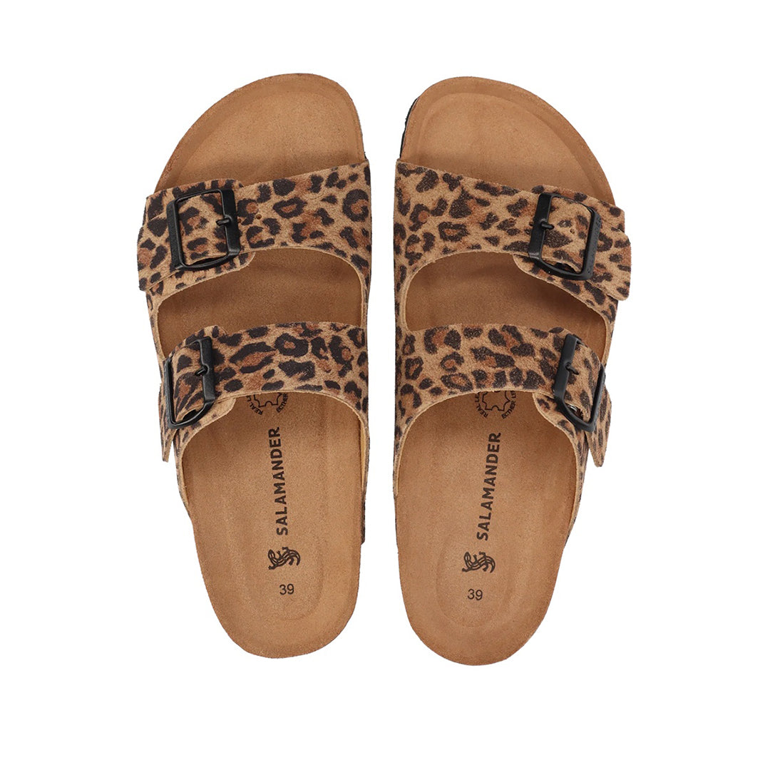 Salamander Women Shoes - 6343