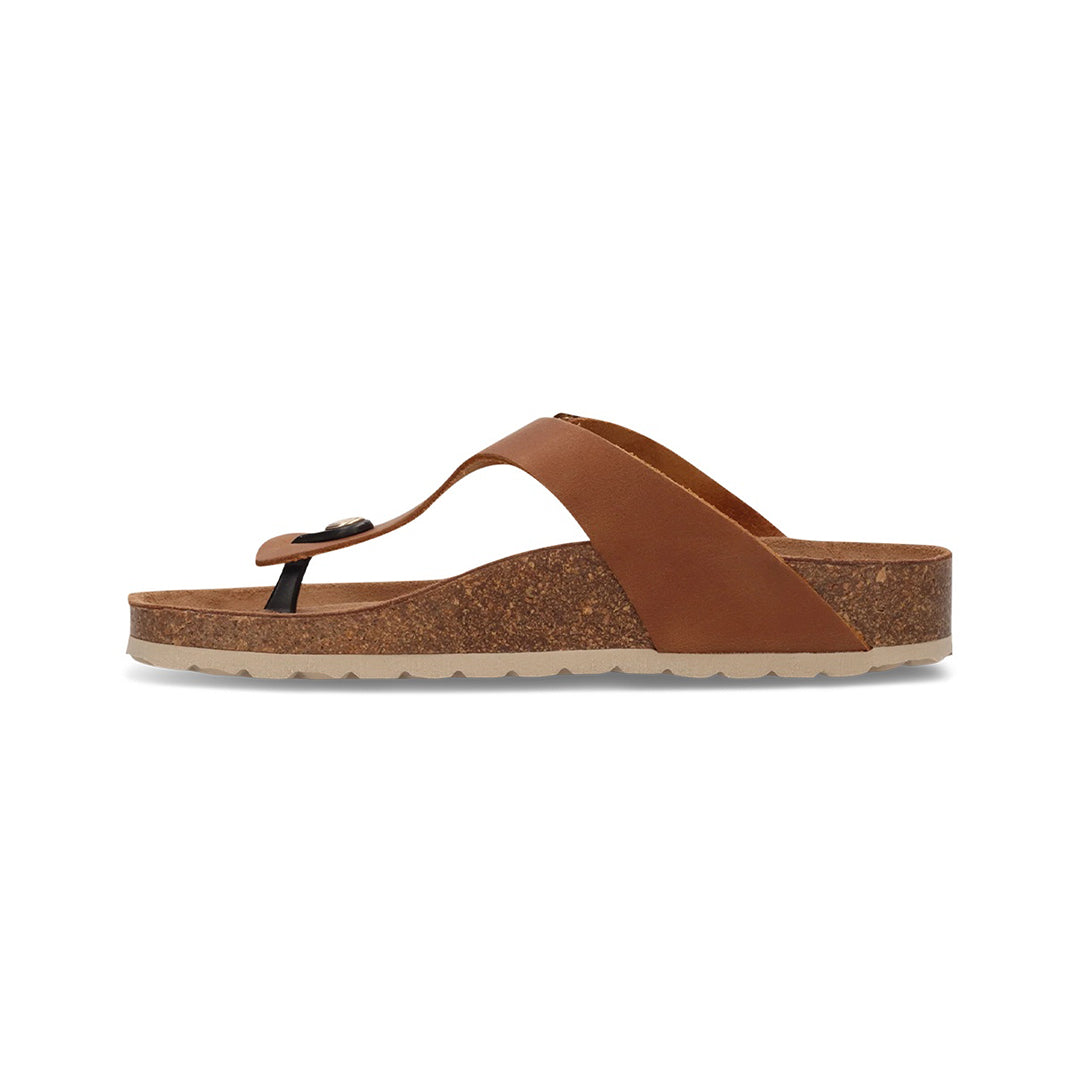 Salamander Women Shoes - 6346