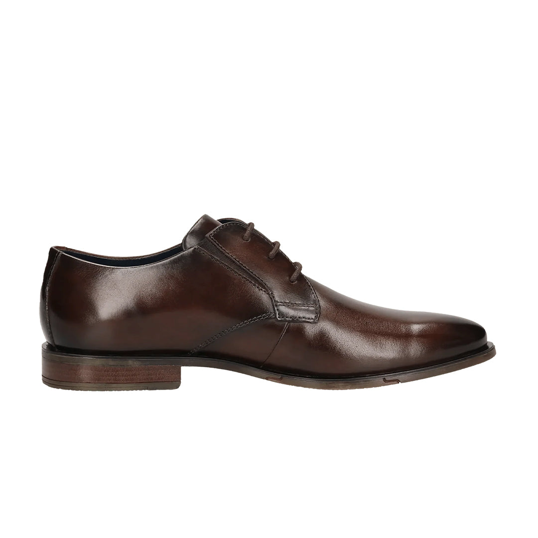 დერბი - 8578