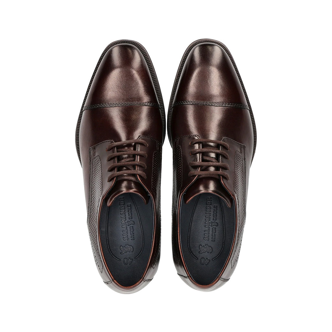 Salamander Men Shoes - 8585