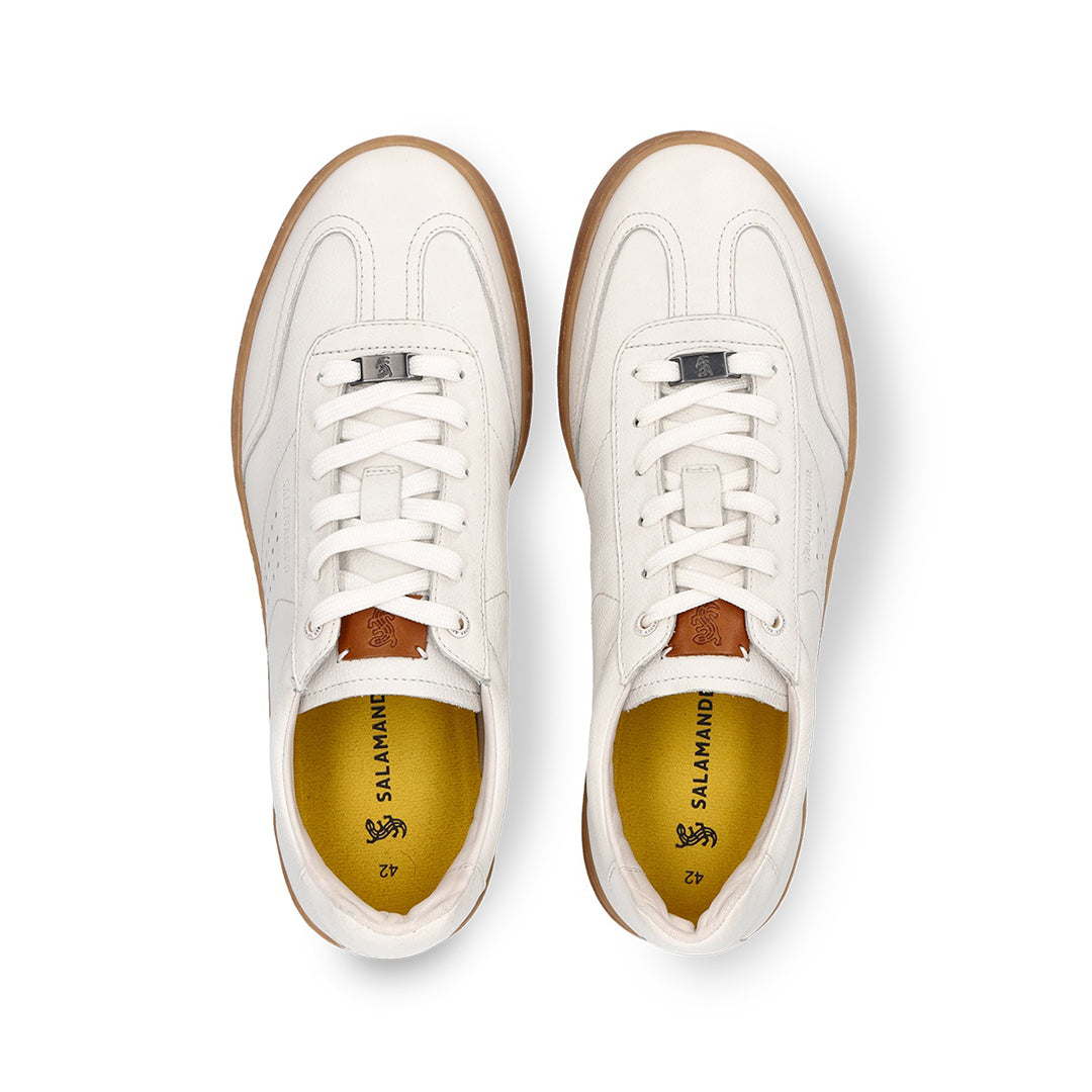 Salamander Men Shoes - 8612