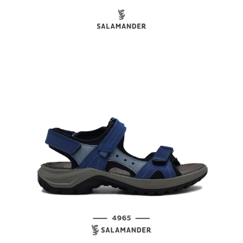 SALAMANDER - 4965